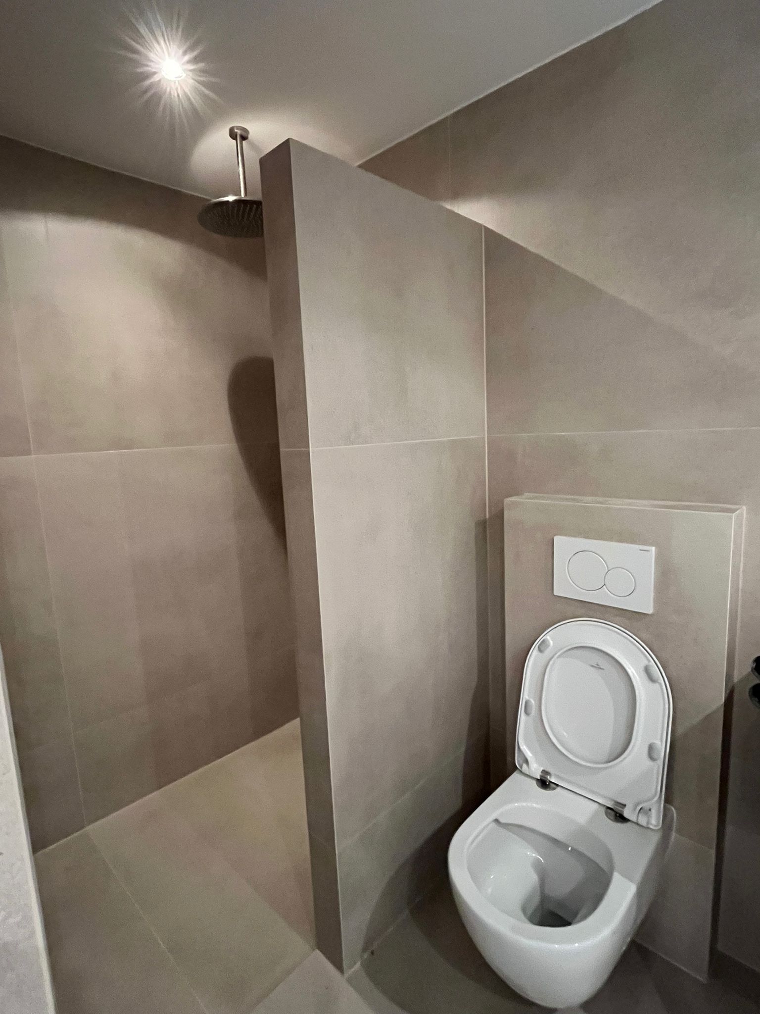 Inloopdouche met plafondregendouche en hangend toilet